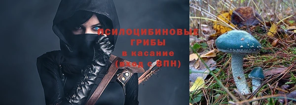 мяу мяу мука Алзамай